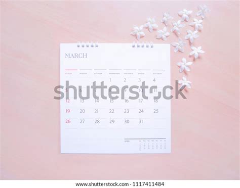 1 Tineline 图片、库存照片和矢量图 Shutterstock