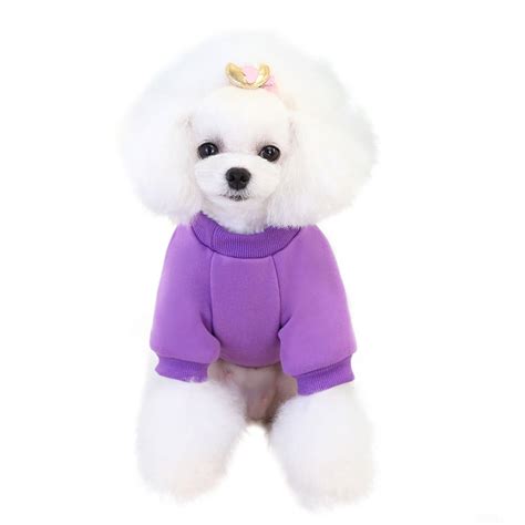 Zaroyeax New Carrot Sweater Cute Dog Clothing Small And Medium Sized