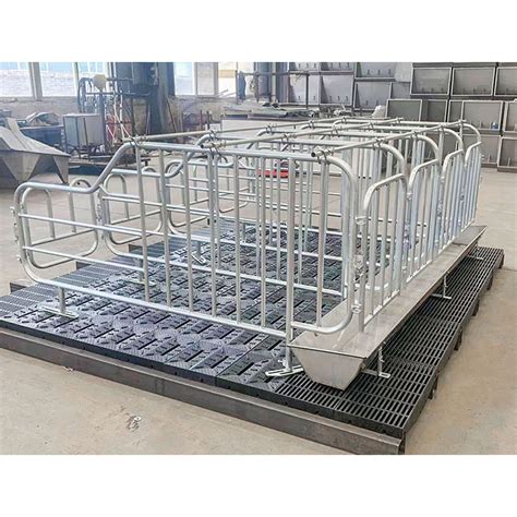 Pig Farming Crate Gestation Cheap Houses Steel Pipe Hot DIP