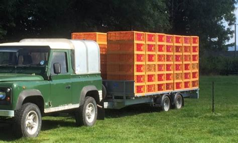 Poultry Transport Crate Collins Nets Ltd