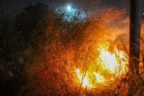 Focos de incêndio no ano representam metade da década Meio Ambiente