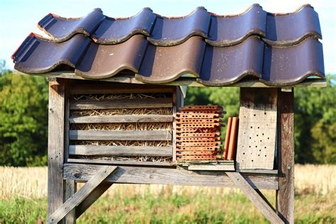 Lebensr Ume Im Garten Schaffen Landwirtschaft Verstehen