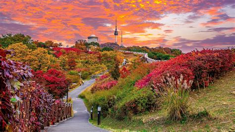 Best Places To Witness Fall Foliage Across Asia