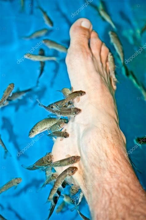 Fish Spa Feet Pedicure Skin Care Treatment With The Fish Rufa Ga Stock