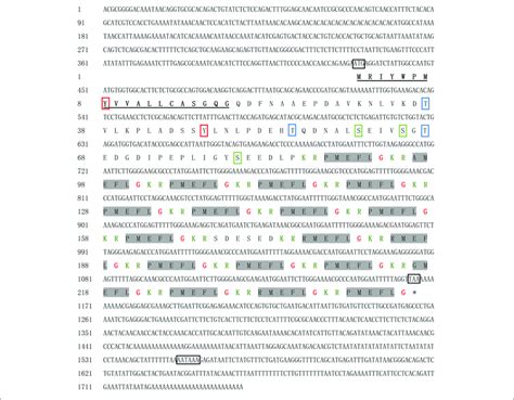 Nucleotide Sequence And Deduced Amino Acid Sequence Of SjPRQFVRP The