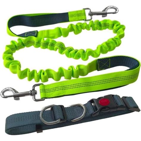 Laisse Chien Mains Libres Ceinture R Glable Gris Et Laisse Lastique