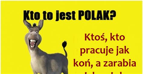 Kto To Jest Polak Demotywatory Pl