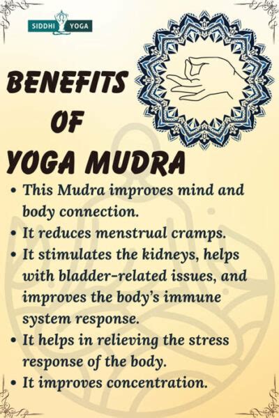 Yoga Mudra Meaning Benefits And How To Do It Siddhi Yoga