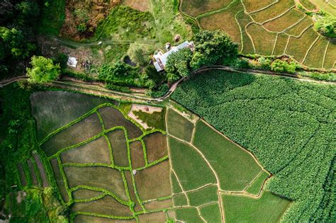 Rice field ,Aerial view of rice fields | Nature Stock Photos ~ Creative Market