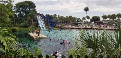 Weeki Wachee Springs 2018 Ce Quil Faut Savoir Pour Votre Visite