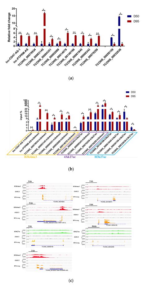 Genes Free Full Text Transcriptomic And Chip Seq Integrative