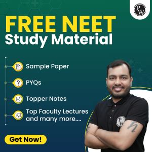 Neet Months Study Plan Subject Wise Preparation Strategy