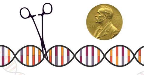 Cas CLOVER And Its Advantages Over Nobel Award Winning CRISPR Cas9