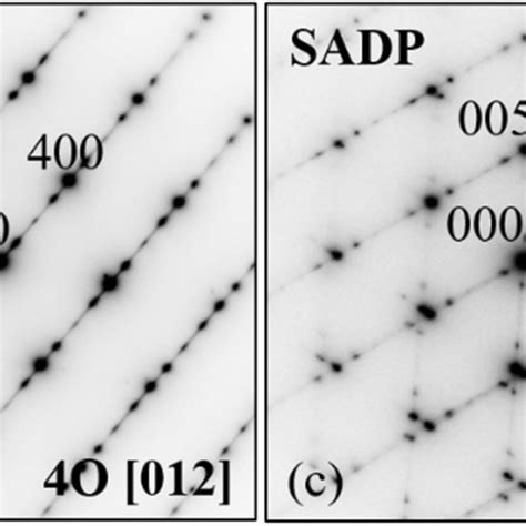 Selected Area Electron Diffraction Patterns Sadps Taken At Room