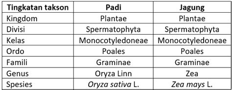Tingkat Takson Terendah Yang Diduduki Oleh Tanaman
