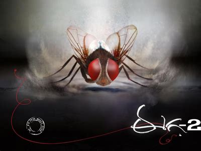 3 reasons which states that Rajamouli's next venture is Eega 2 – Topcount