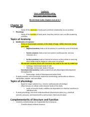 Bio 241 Study Guide Exam 1 Docx Capillaries Short Answers Clinical