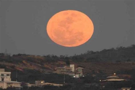 Superlua rosa poderá ser vista nesta segunda entenda o fenômeno