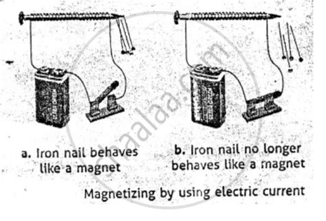 You Are Given an Iron Nail, a Torch Cell, and a Long Piece of Insulated ...