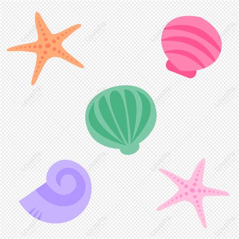 Beach Marine Starfish Elements Flat Marine Organisms Beach Elements