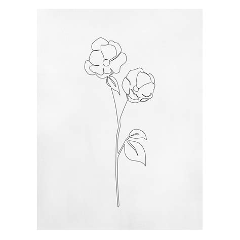 Leinwandbild Line Art Blumen Mohnbl Te Hochformat