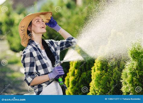 Beautiful Young Gardener Woman Watering Garden In Hot Summer Day Stock Image Image Of Female