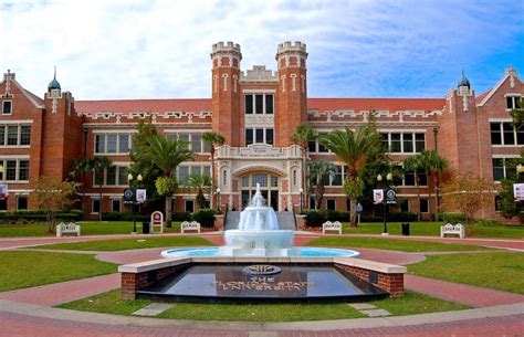 Top 10 Majors at FSU - OneClass Blog