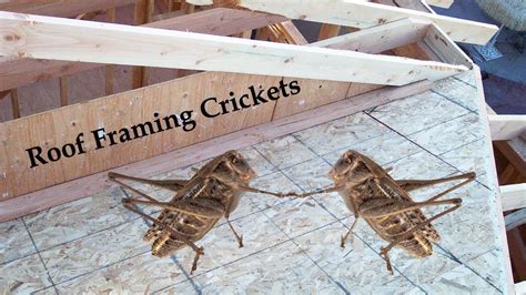 How To Build A Roof Drainage Cricket Home Building Ideas YouTube