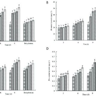 The Effects Of Drought Stress Induced By Different Concentrations Of