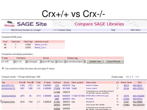 Ppt Gene Expression Analysis By Sage Powerpoint Presentation Free