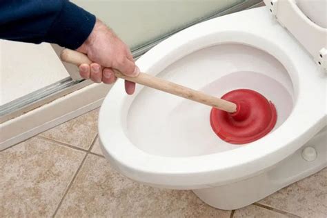 5 Steps To Properly Plunge Your Toilet Clogged Toilet Proper Plunge Riset