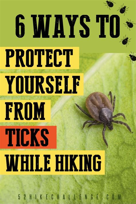 Sawyer Insect Repellent 6 Ways To Protect Yourself From Ticks While