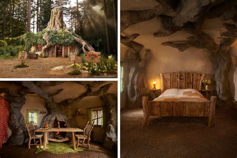 Shreks Swamp Is Now An Airbnb 1063 The Fox