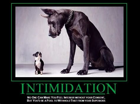 Overcoming Intimidation Quotes. QuotesGram