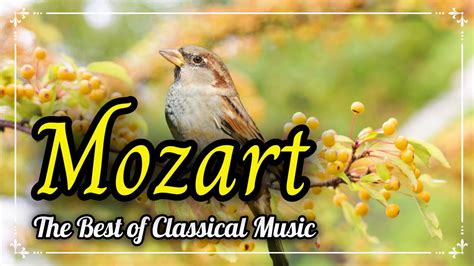 Mozart String Quartet No 20 In D Major K 499 II Menuetto And