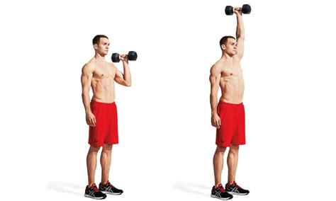 How To Do The Overhead Press Muscles Worked Form And Alternatives