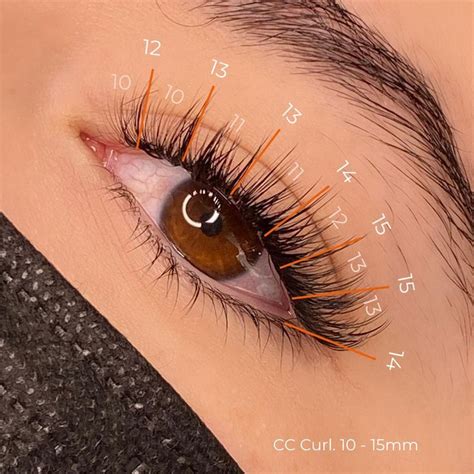 Hybrid Lash Map Eyelash Extensions Lashes Fake Eyelashes Perfect Eyelashes Eyelash Extentions