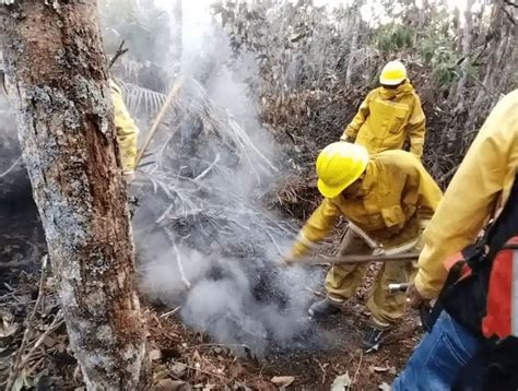 El 90 De Los Incendios Forestales En San Martín Fueron Causados Por