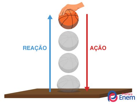 Top Qual A Terceira Lei De Newton