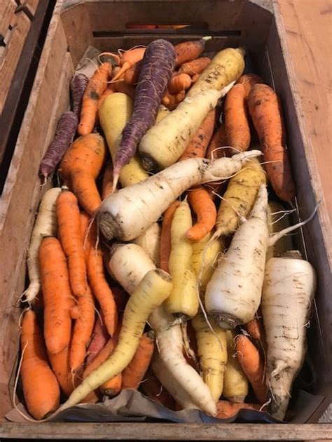 Contenu De Votre Panier De L Gumes Du Au Oct La Ferme De Chosal