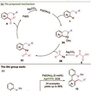 A Rh Iii Catalyzed And Thioether Directed CH Alkenylation Of