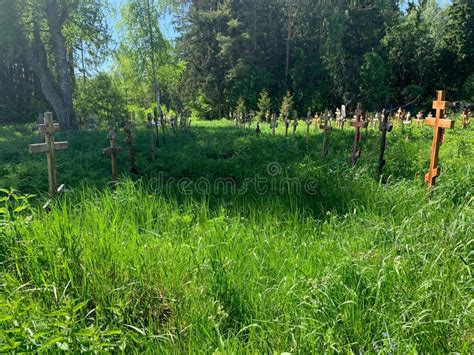 Wood Crosses On Graves In Cemetery In Summer Cemetery In The Green