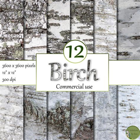 12 Natural Birch Bark Texture Digital Papers That Are All Different High Resolution With