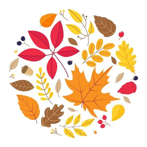 Premium Vector Round Composition Of Different Autumn Leaves Isolated