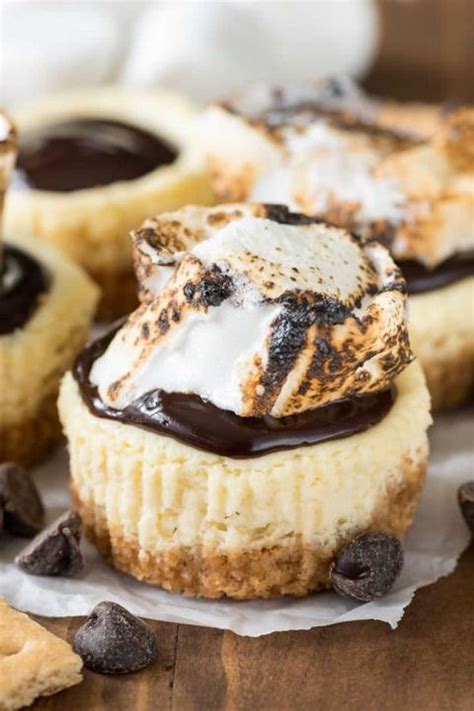 25 Easy Mini Cheesecake Recipes Best Bite Size Cheesecakes