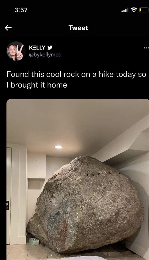 Found This Cool Rock On A Hike Today So I Brought It Home Rlies