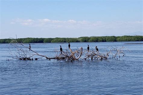 Puerto Escondido Chacahua Lagoons National Park Tour