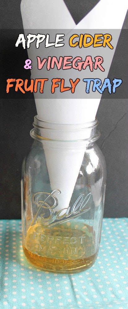 The Top Ideas About Fruit Fly Trap Apple Cider Vinegar Home