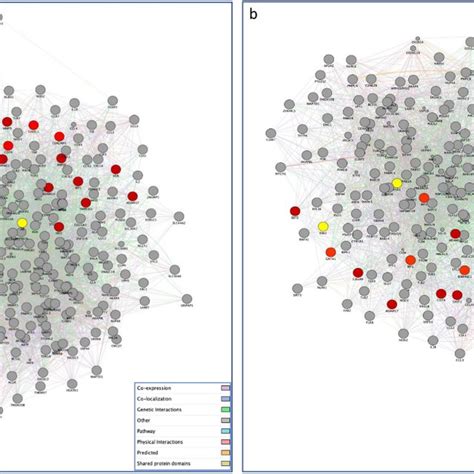 Gene Networks Of Sars Cov Targeted Human Proteins Expressed In Testis