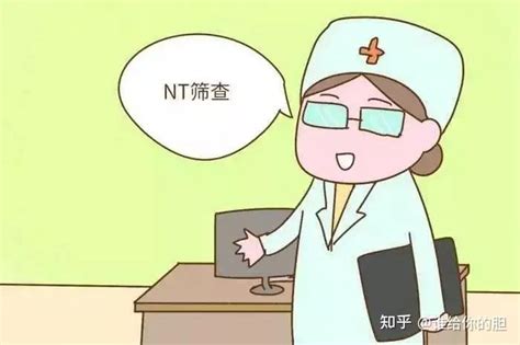 NT检查到底查什么 知乎